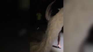 Kim Kardashian: Complete Instagram Story