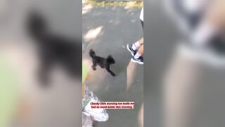 Cheeky little run