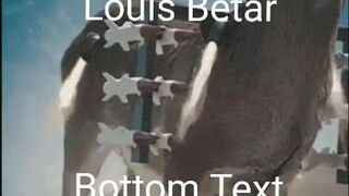 Louis betar