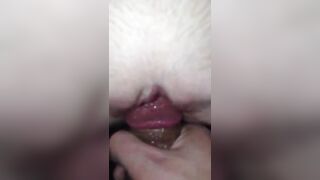 Teasing my girlfriend's pussy - Homemade
