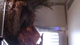 Natasha Henstridge - Species - Horror Movie Nudes