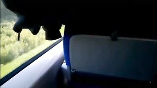 Risky blowjob on a train