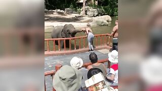 Celebrities: Connie Talbot feeding an elephant